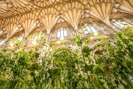 ecochurch