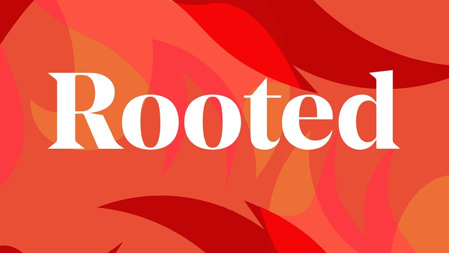 rooted pod andscape banner-990