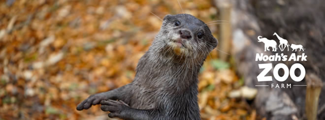 2ee9d7de-2164-fc12-0f3d-257100