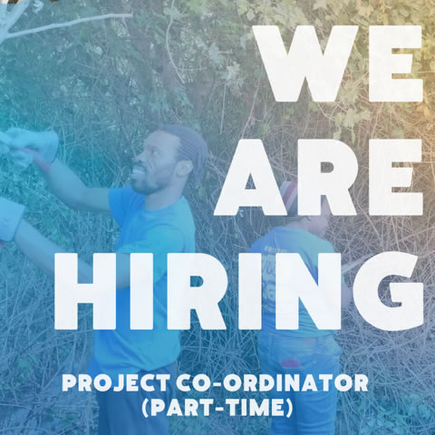 8fc76ac4-f421-ef89-36f7-88837f