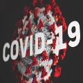 Coronavirus / COVID-19 Guidance