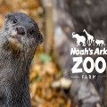 Noah's Ark Zoo Farm: Udder-ly Adorable News Alert, Birthdays and Extra Events!
